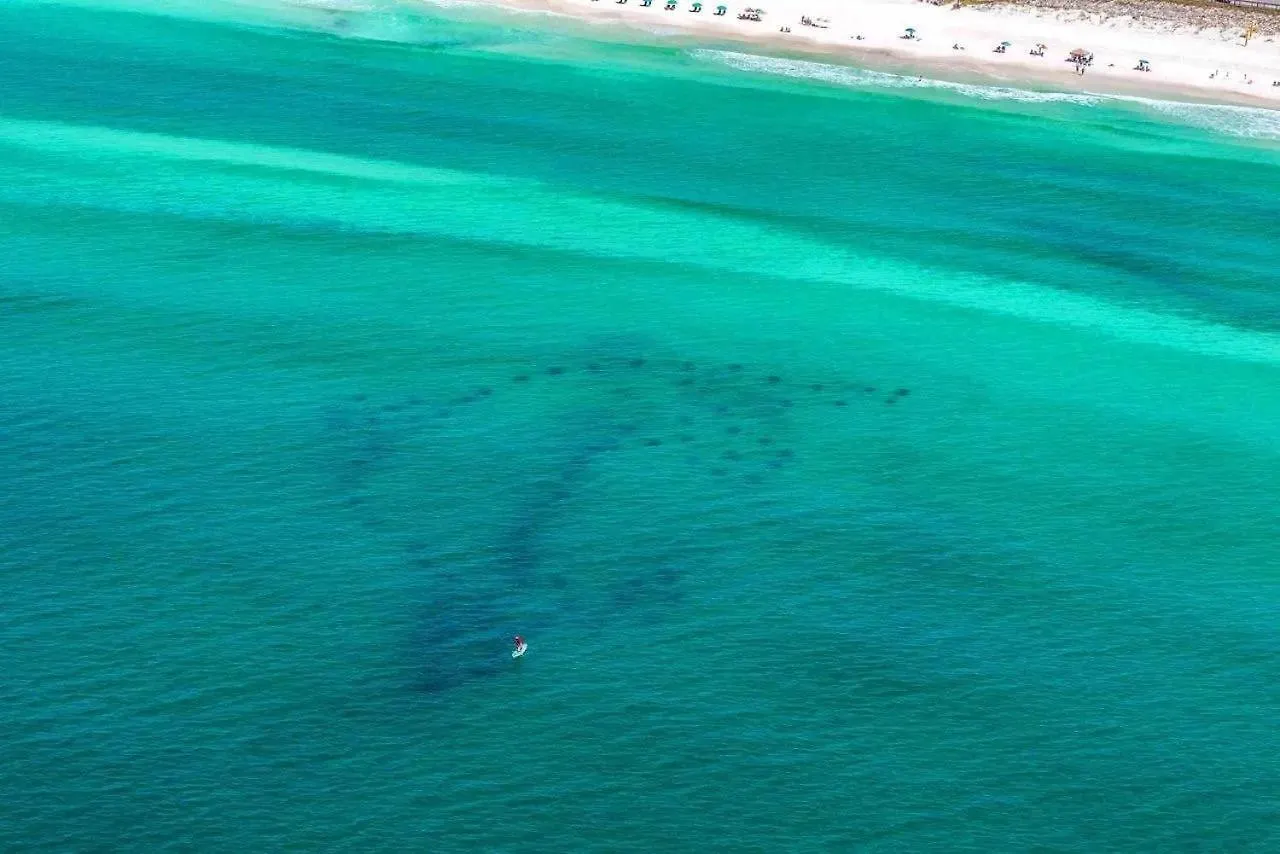 Sunny Days Villa Destin Holiday home